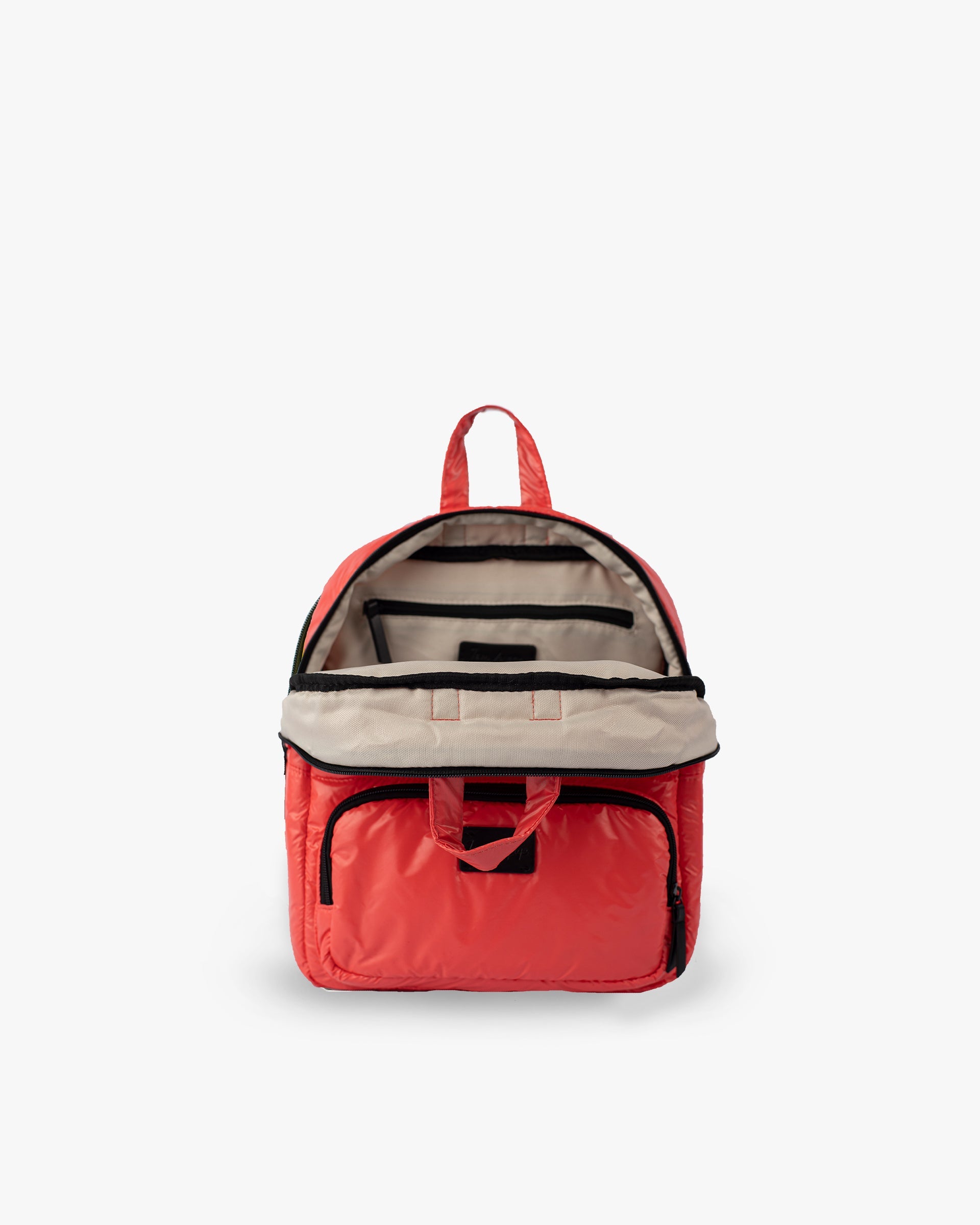 Coral//MINI