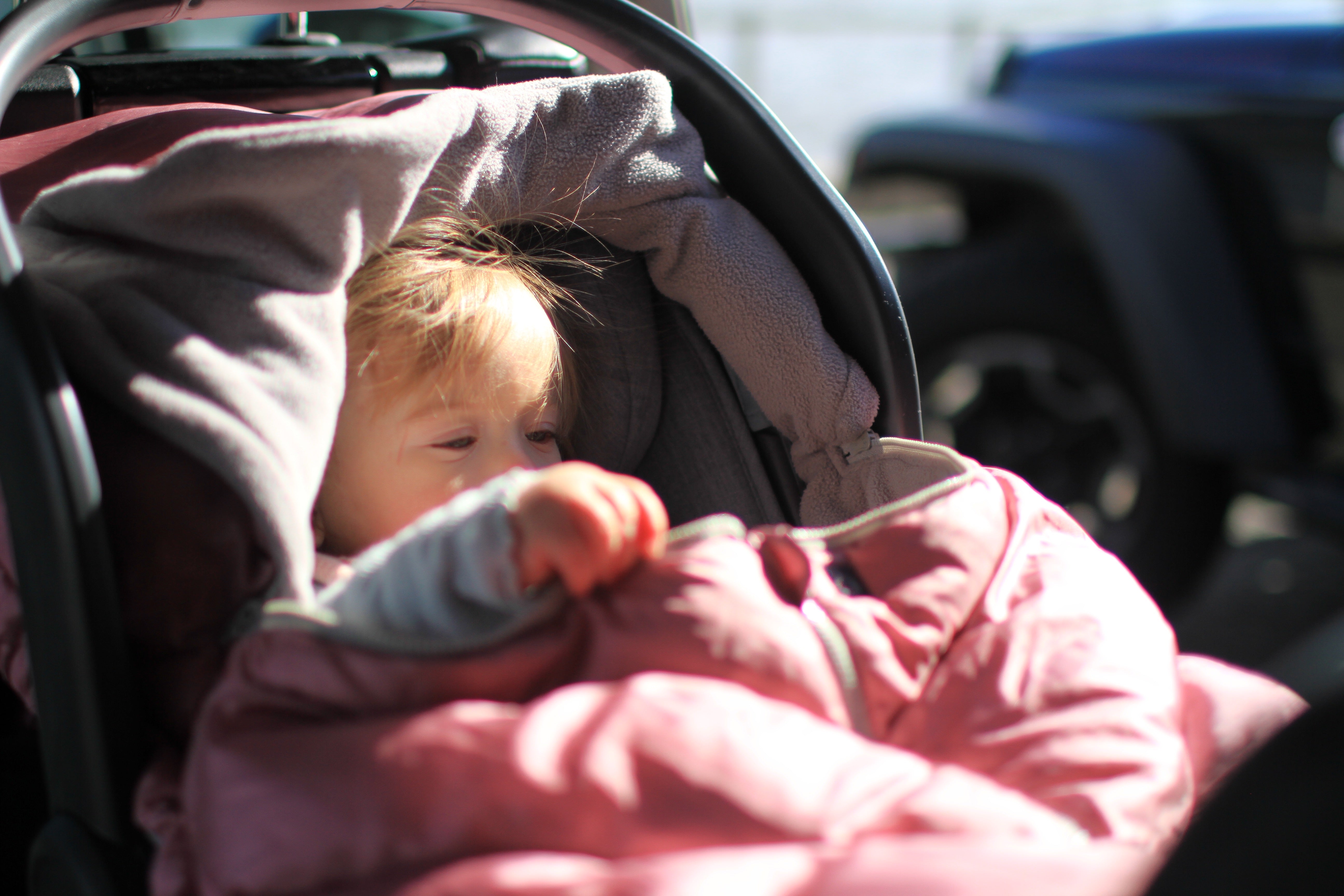Car Seat Cocoon - Metallic Lilac