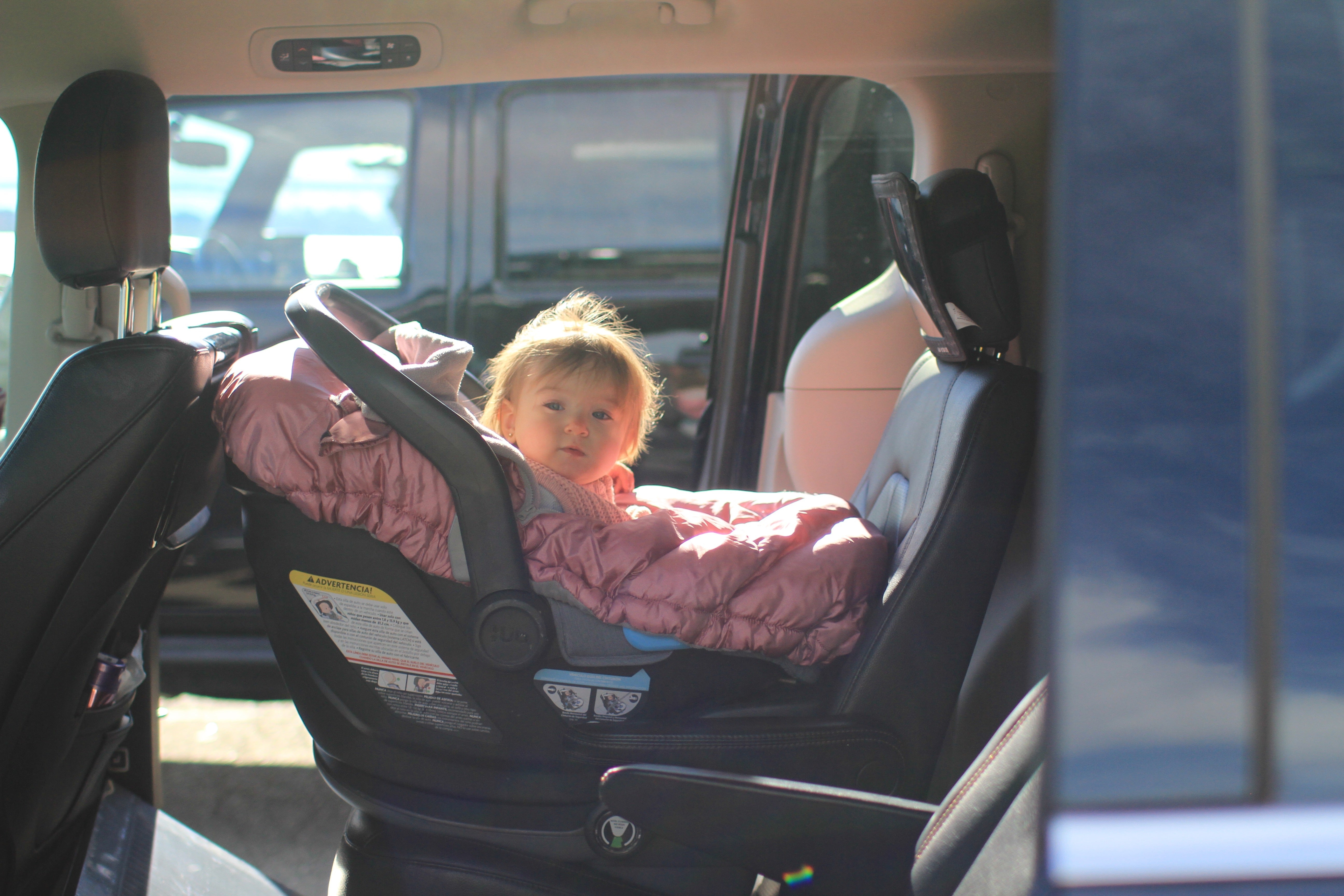 Car Seat Cocoon - Metallic Lilac