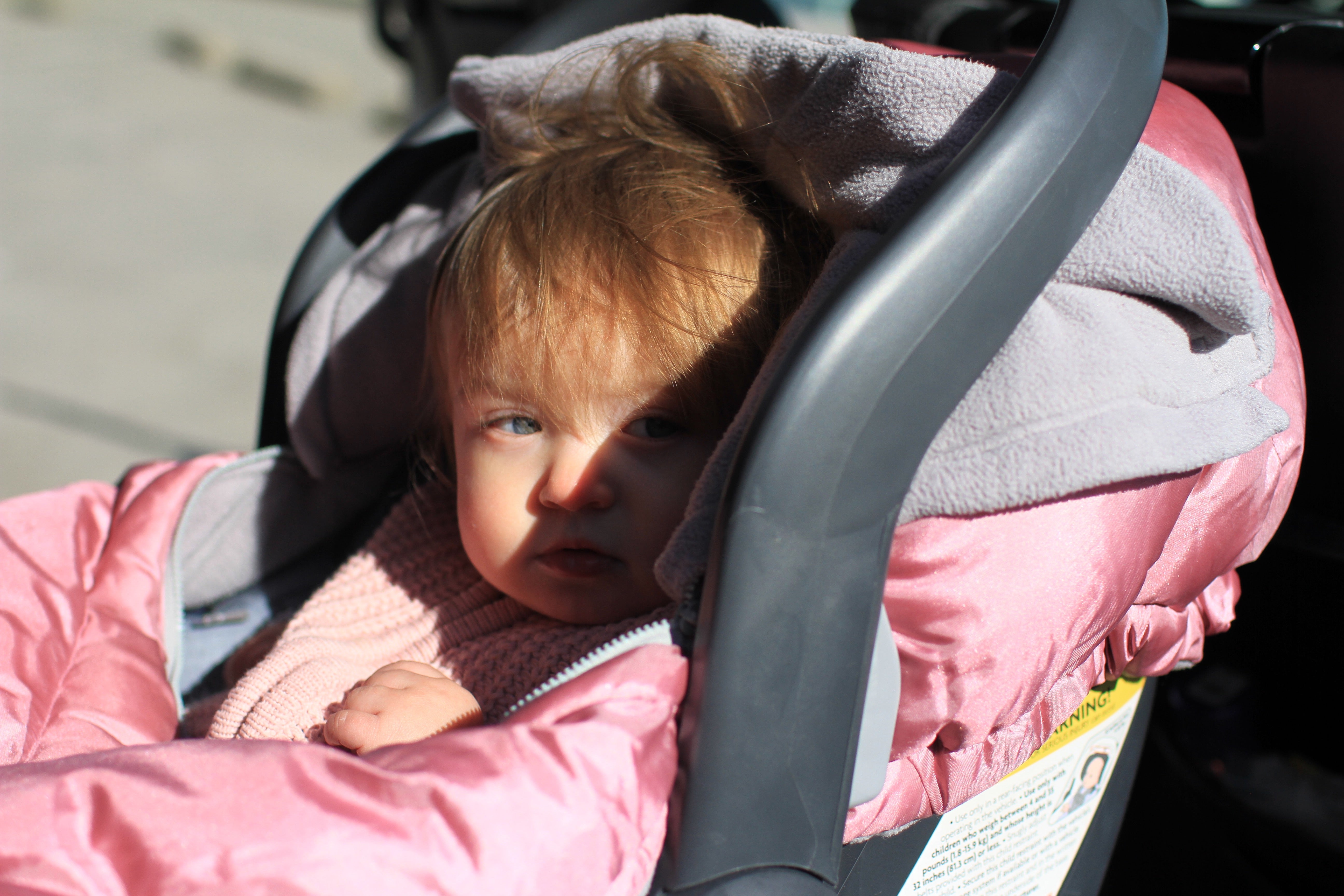 Car Seat Cocoon - Metallic Lilac