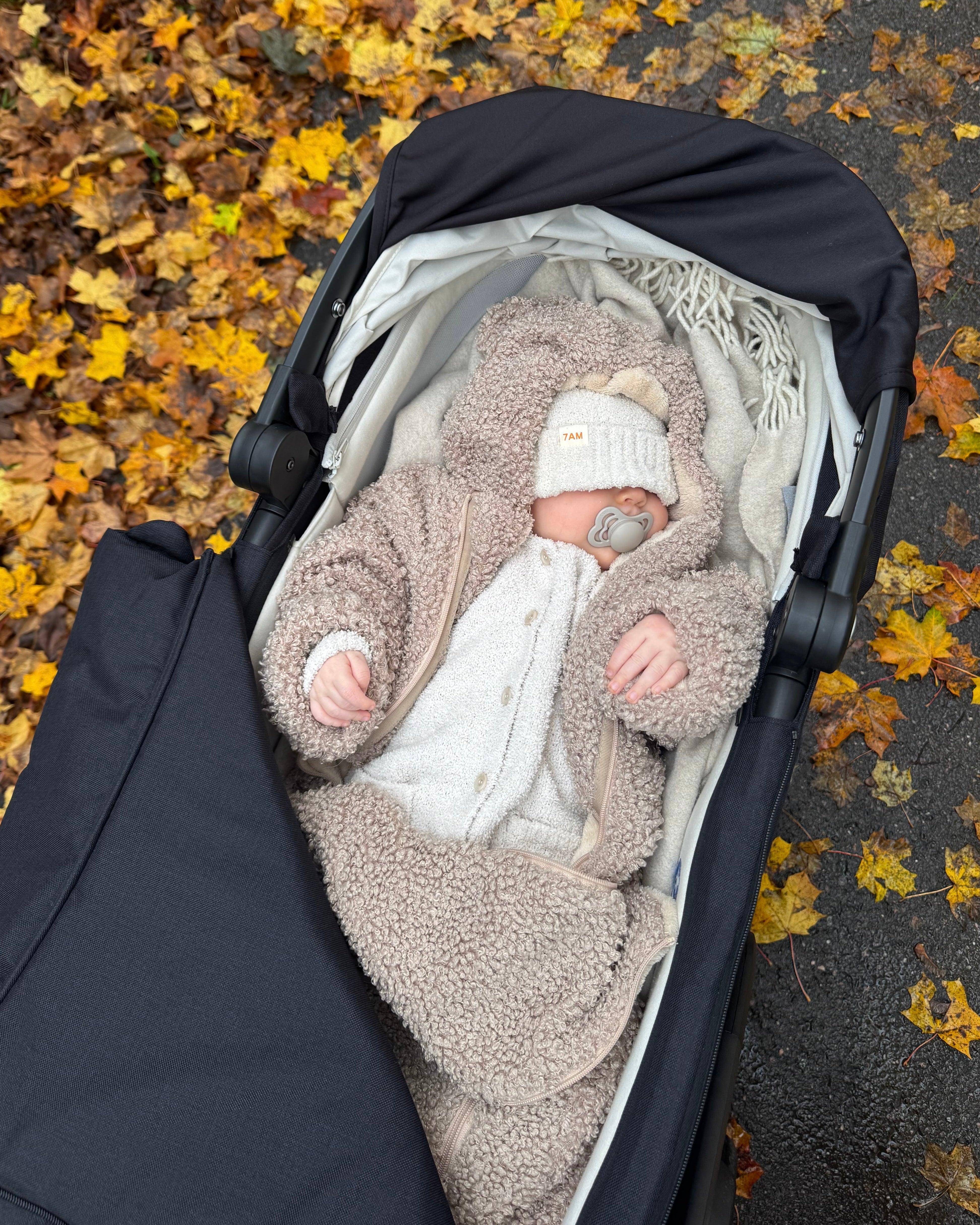 Bunting Bébé - Teddy